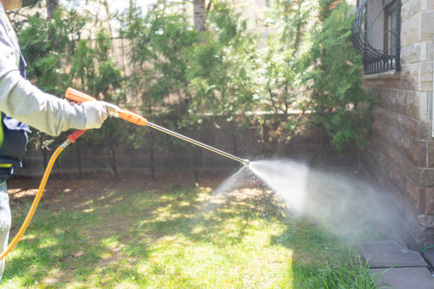 Emergency Pest Control Services in Auburndale, FL